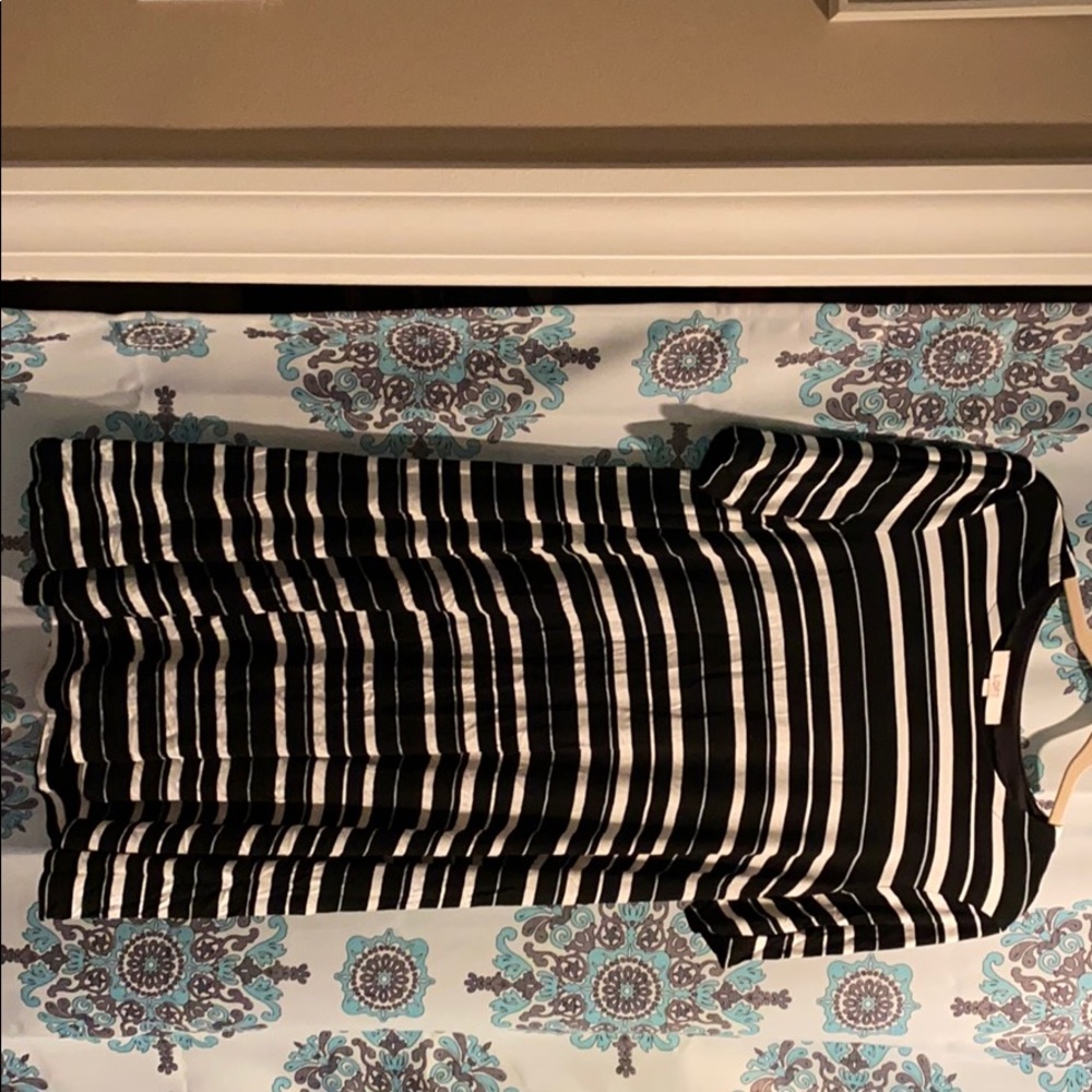 Loft short sleeve knee length dress